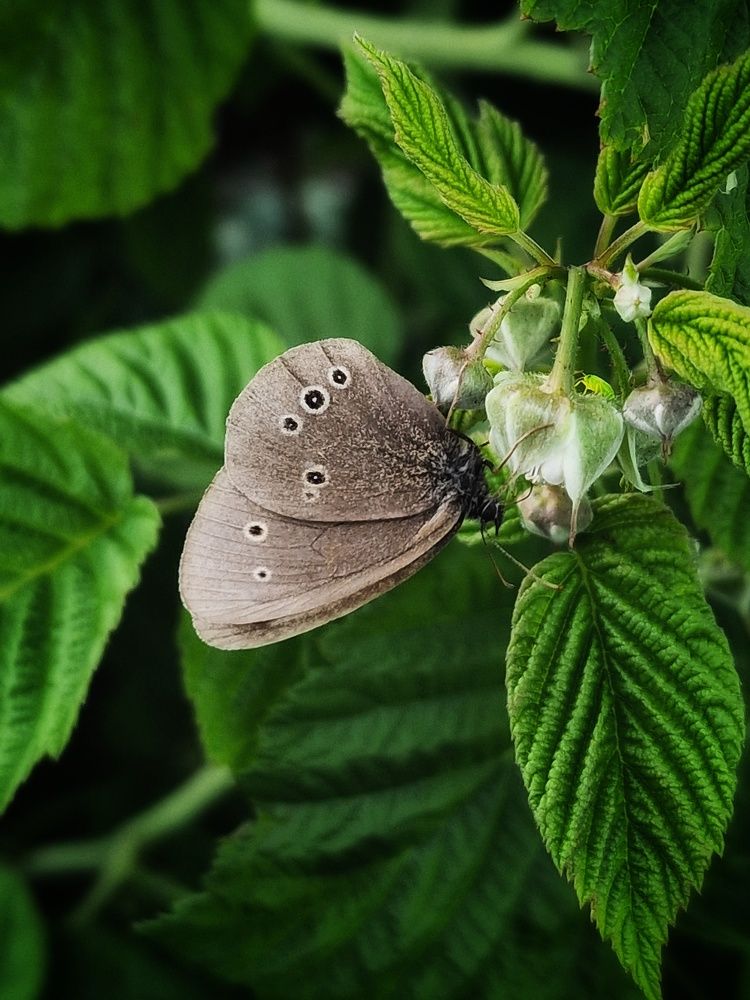 Photograph by Елена Федоткина