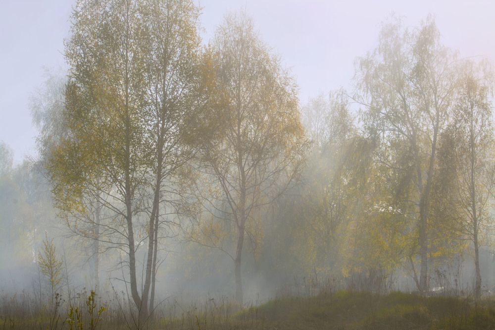 Photograph by Юлия Лушникова