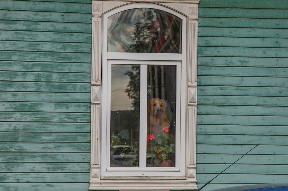 Photograph by Дмитрий Пасынков