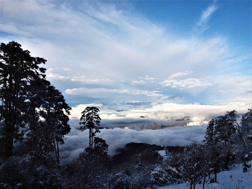 Photograph by Laekee Dorji