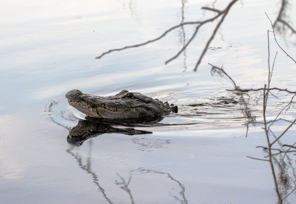 Photograph by Анатолий Костерев