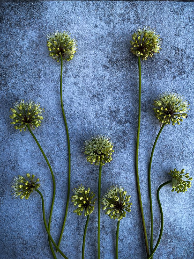 Photograph by Рамзия Хисамутдинова