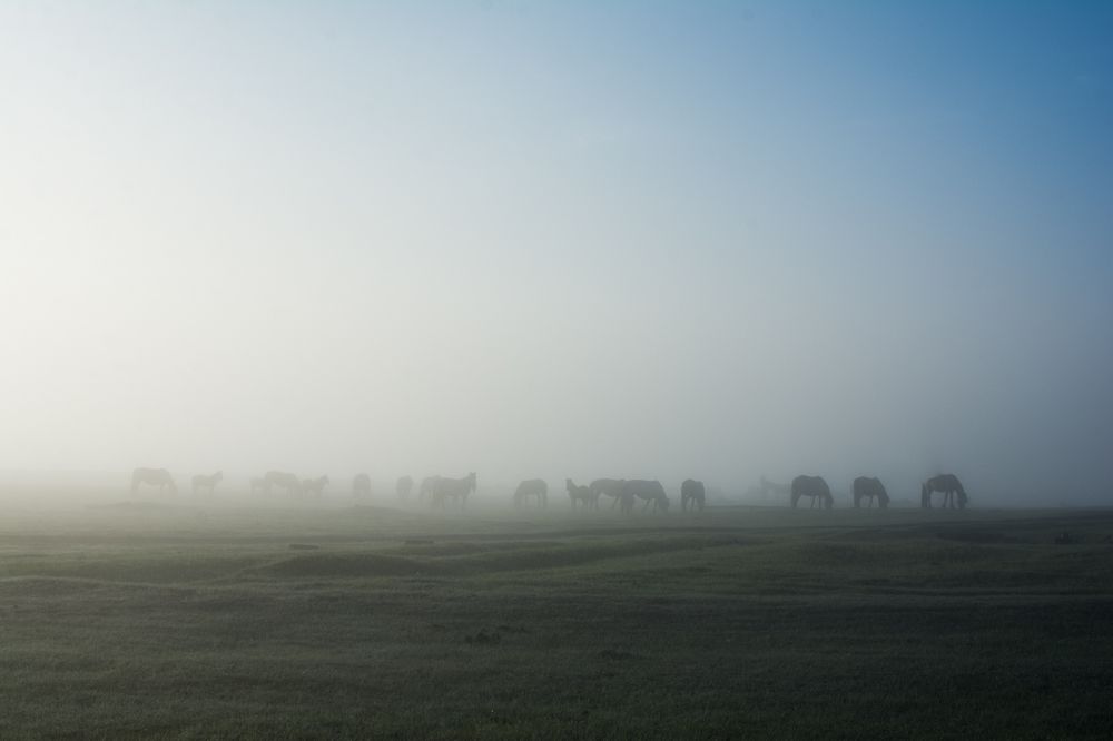 Photograph by Дмитрий Бочкарёв