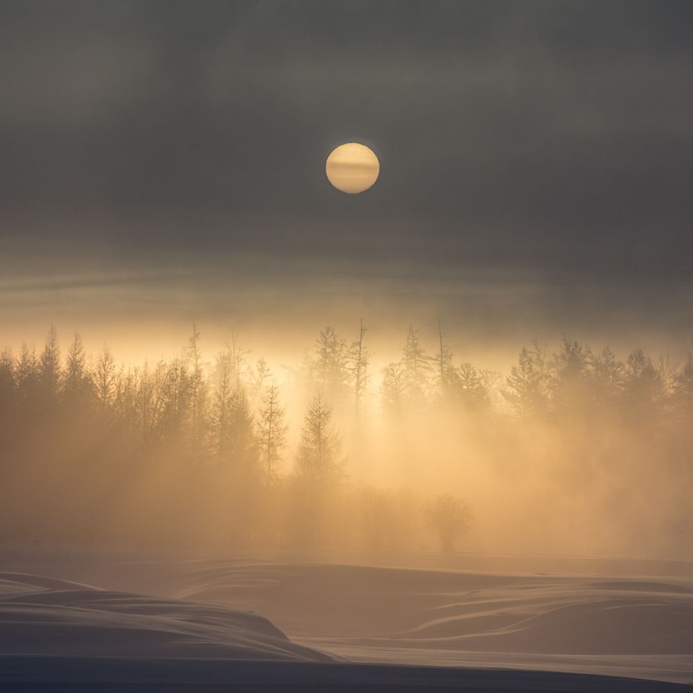 Photograph by Дмитрий Бочкарёв