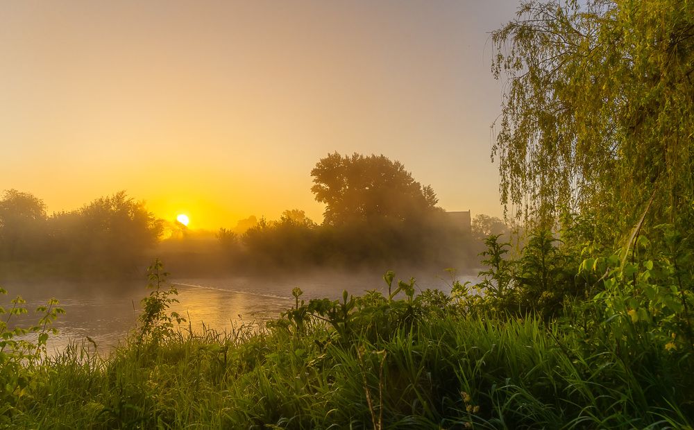 Фотография автора Николай Бологов