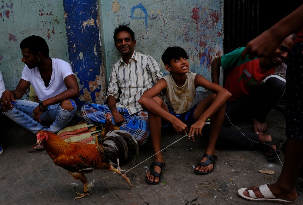 Photograph by Debartha Saha