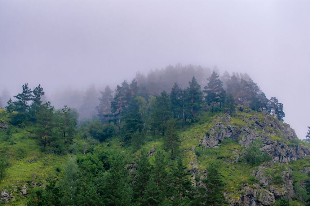 Фотография автора Виталий Гавронский