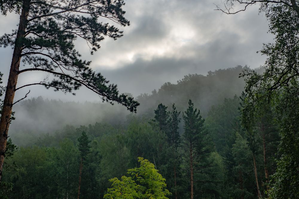 Фотография автора Виталий Гавронский