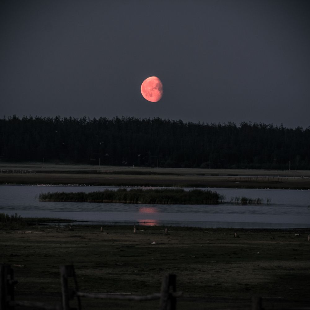 Photograph by Дмитрий Бочкарёв