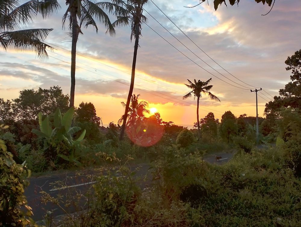 Photo #9222113