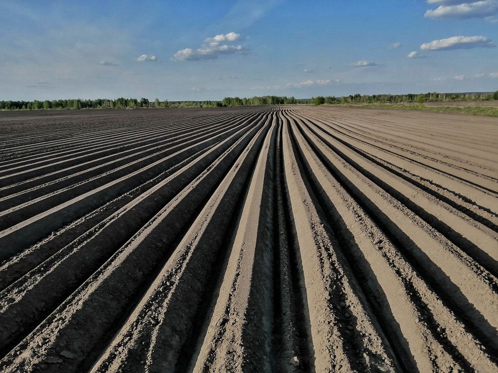 Photograph by Анастасия Карнаухова