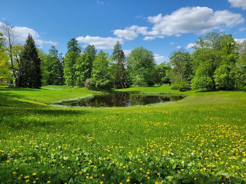 Photograph by Надежда