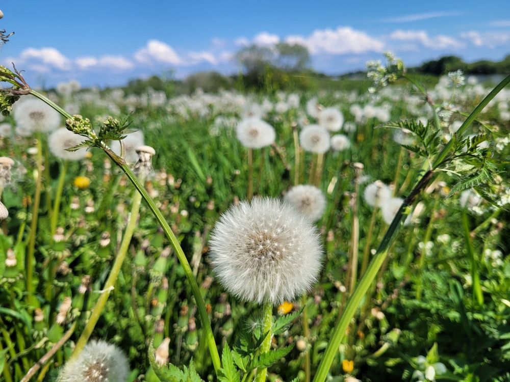 Photograph by Надежда