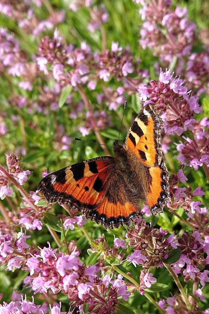 Photograph by Анатолий Бондаренко
