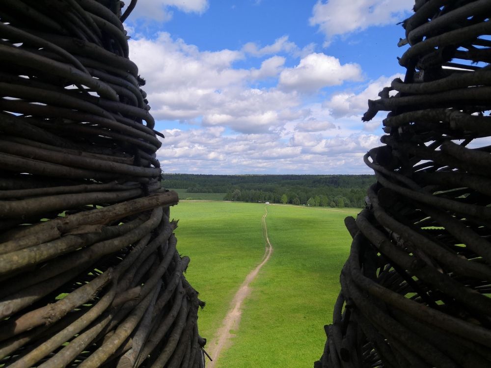 Photograph by Надежда