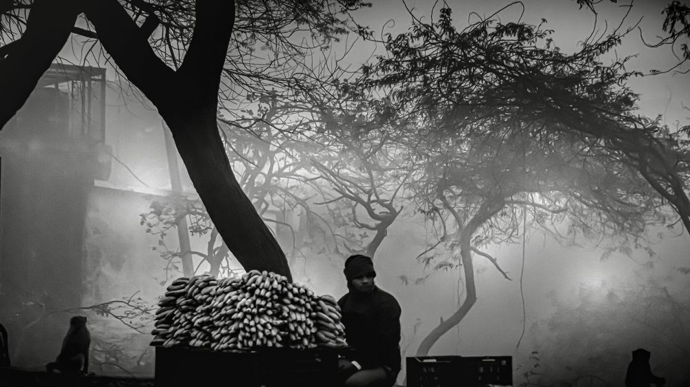 Фотография автора savitri Rawat