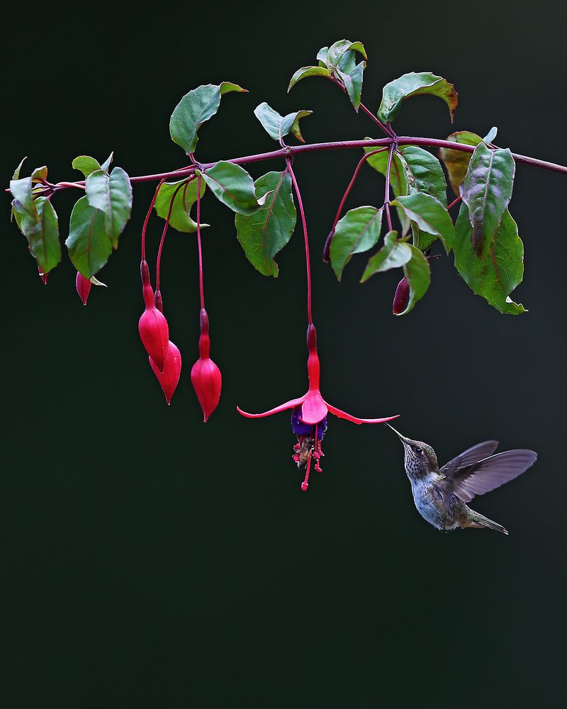 A gentle touch...!!!