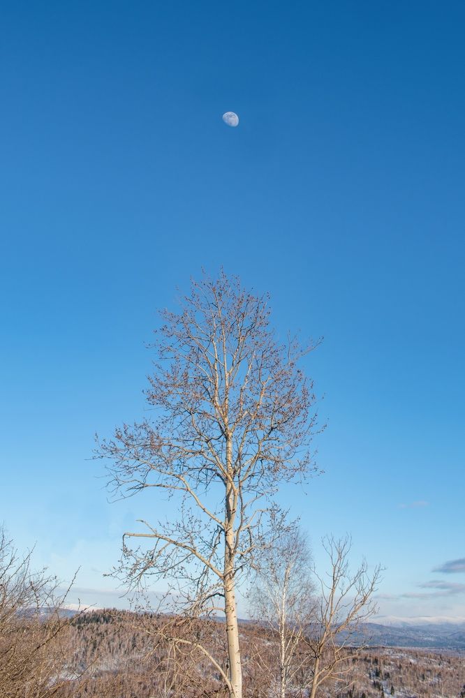 Photograph by Артем Штылев