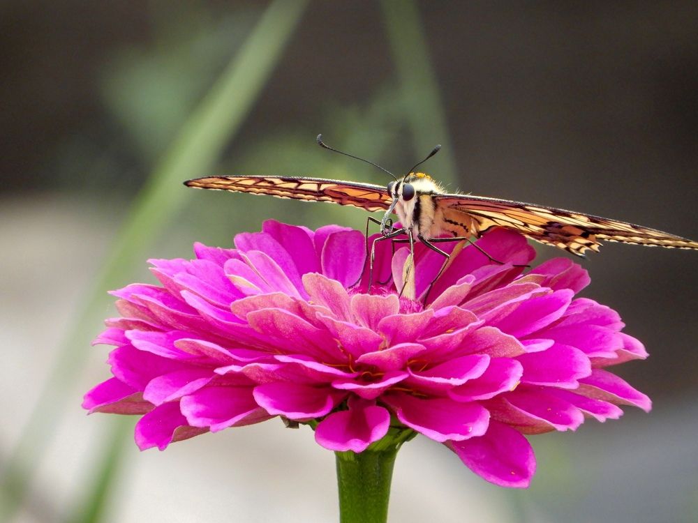 Photograph by Артем Штылев