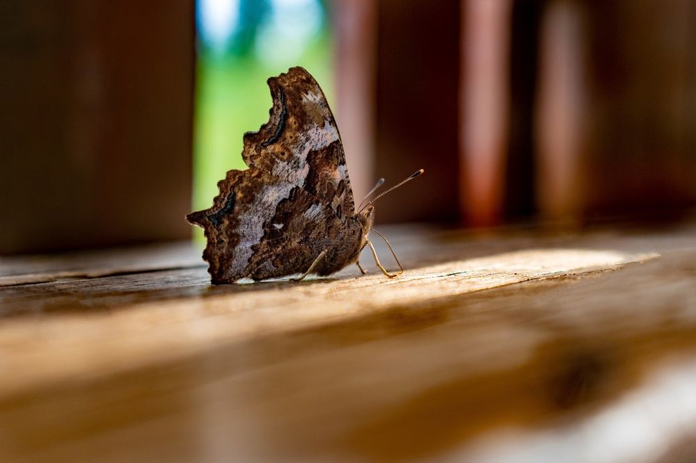 Photograph by Артем Штылев