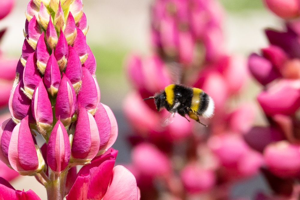 Photograph by Надежда Киселева