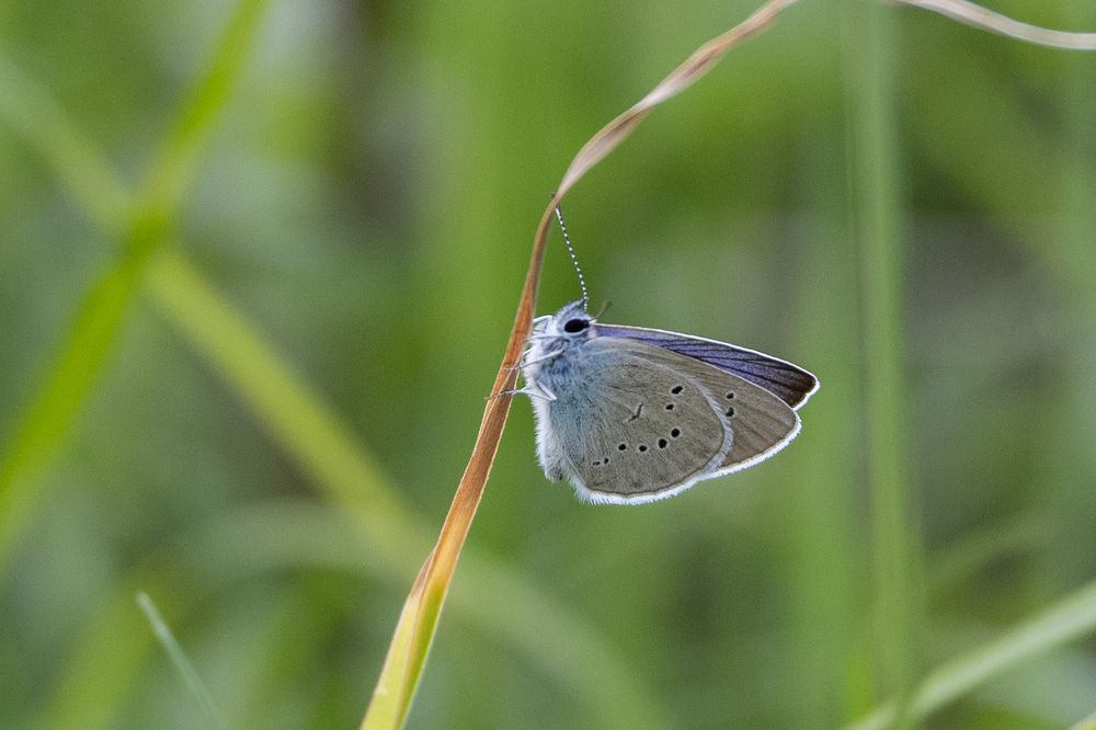 Photograph by Надежда Киселева