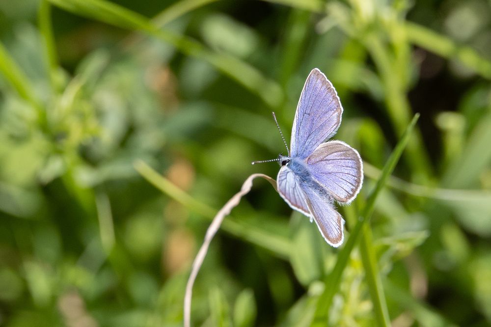 Photograph by Надежда Киселева