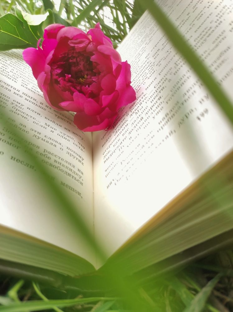 Photograph by Елена Григорьева