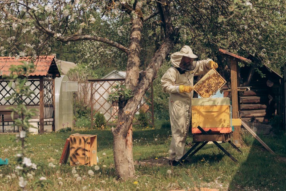 «На пасеке»