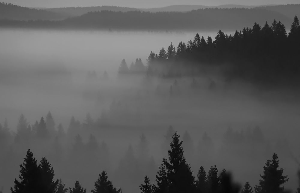 Photograph by Дмитрий Петухов