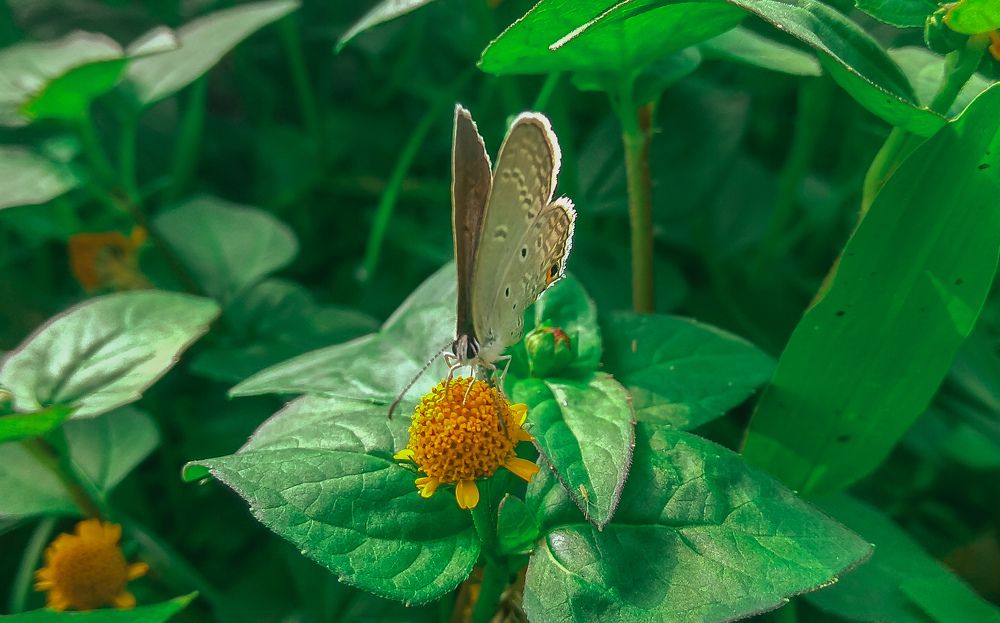 Photograph by Af Naf Shahriar