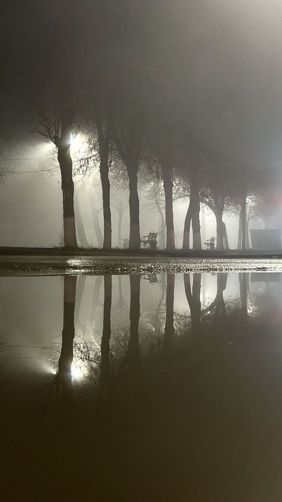 Photograph by Елена Гущина