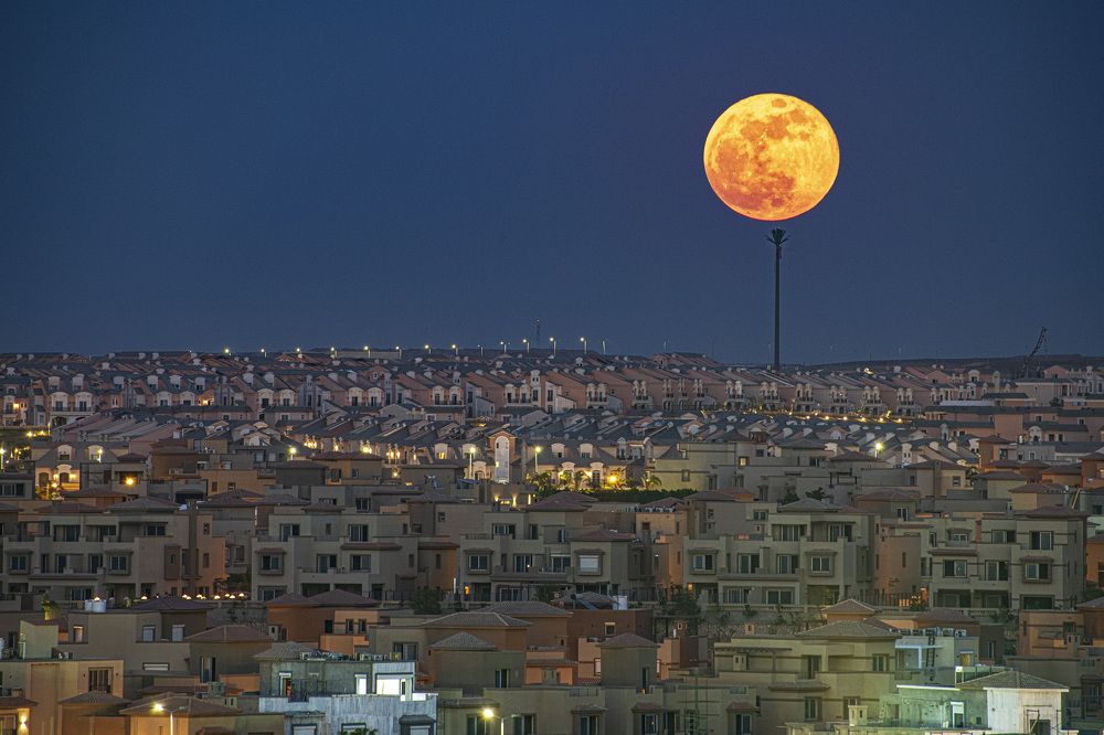 Photograph by ZILL NIAZI