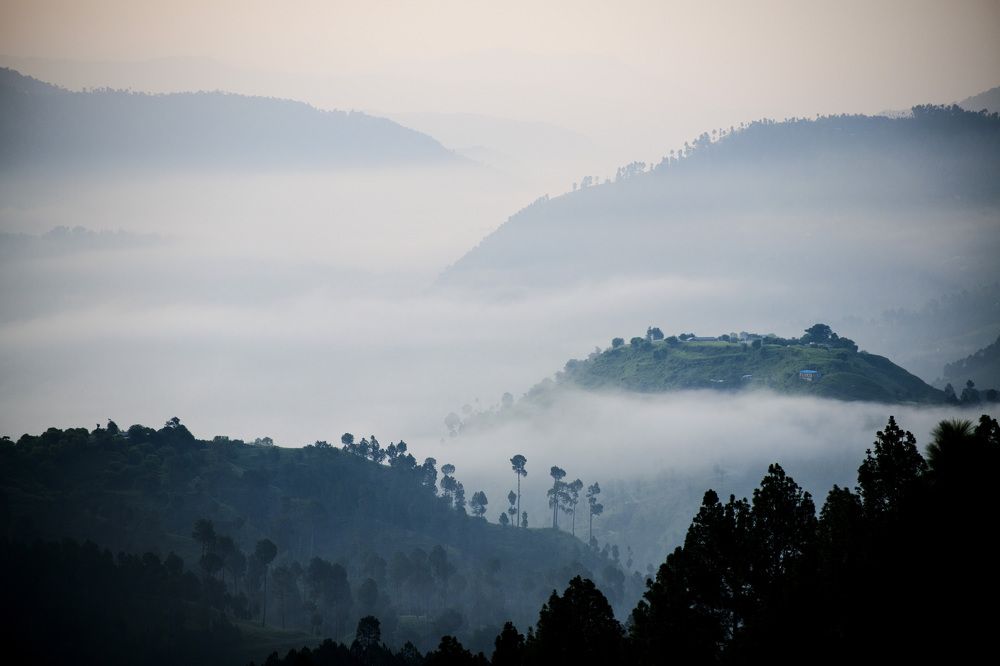 Фотография автора ZILL NIAZI