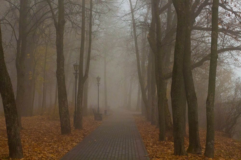 Photograph by Иван Полиненко