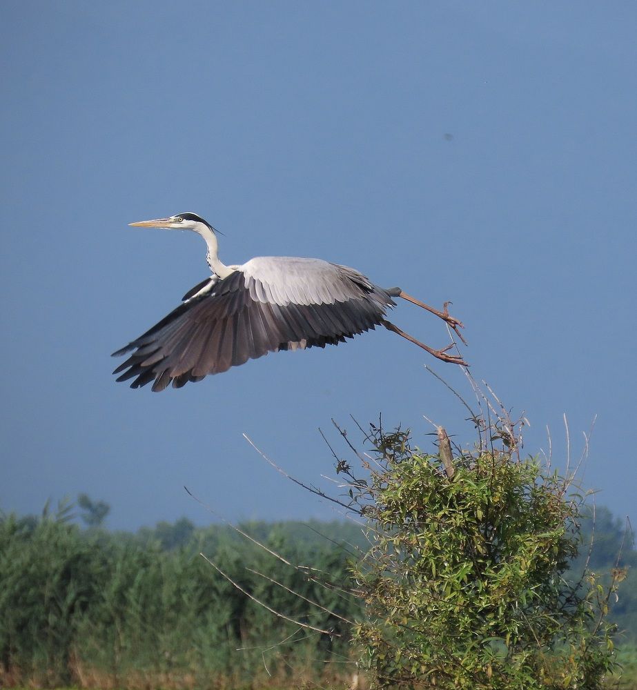 Photograph by mahboube moradalizade