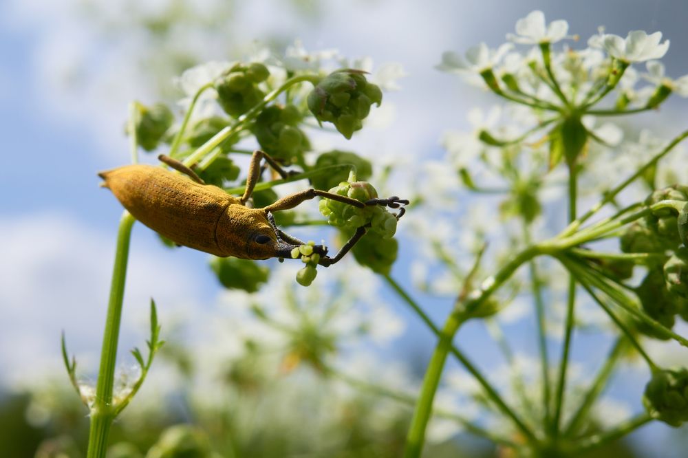 Photograph by сергей воробьёв