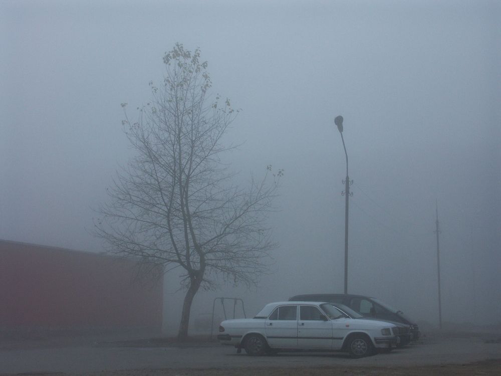 Photo #9222734