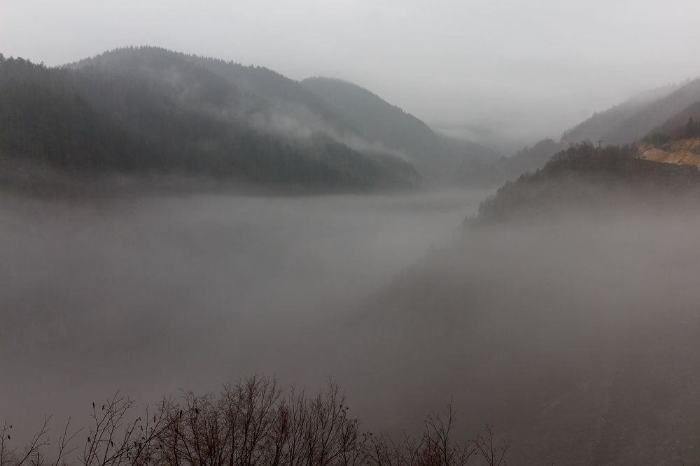 Photograph by Мария Швец