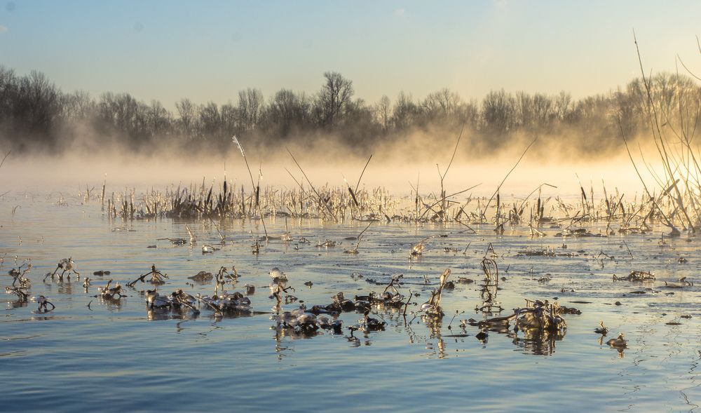 Photograph by Елена Гольдебаева