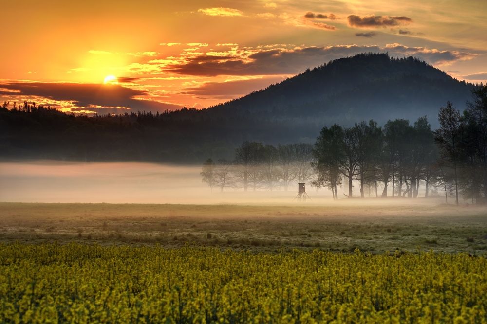 Photograph by Maciej Wydmuch