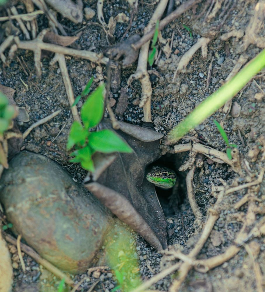 Photograph by Виктория Задорская