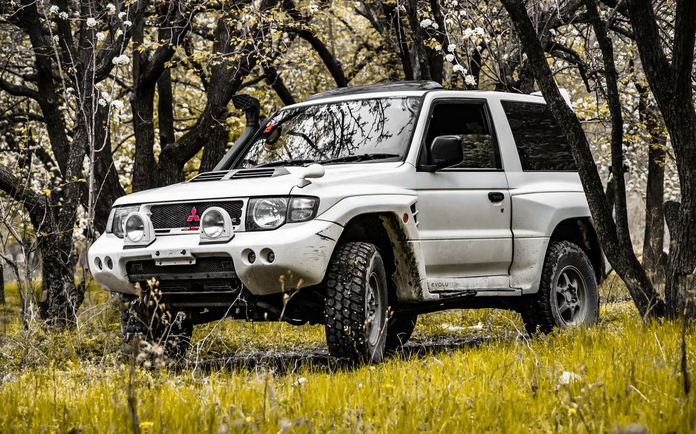 Photograph by Shahzad Ali