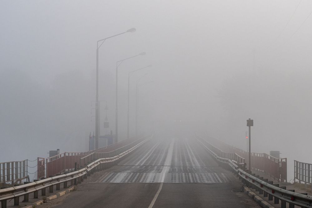 Фотография автора 