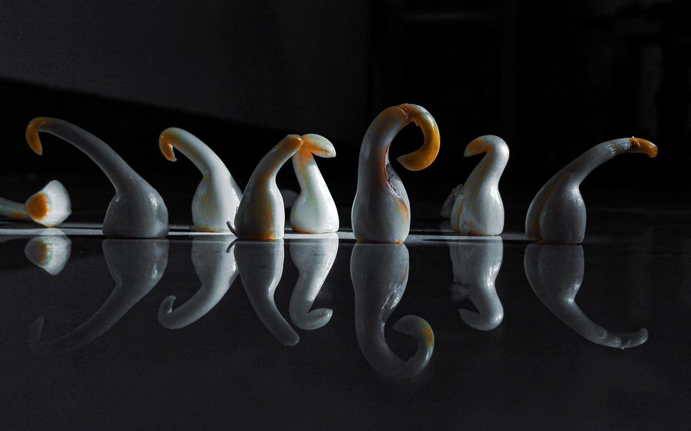 Фотография автора Abhitha