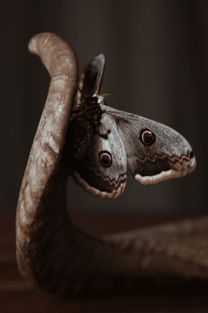 Photograph by Волкова Юлианна