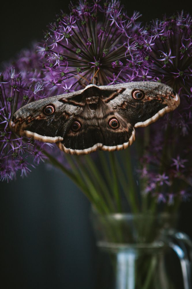 Photograph by Волкова Юлианна