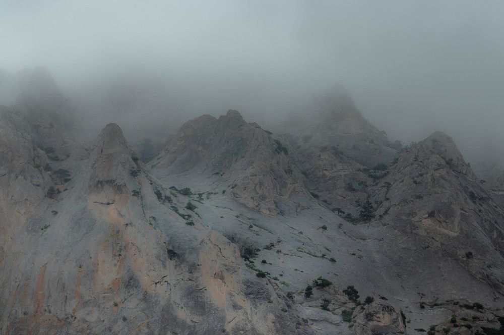 Photograph by Алексей Ильин