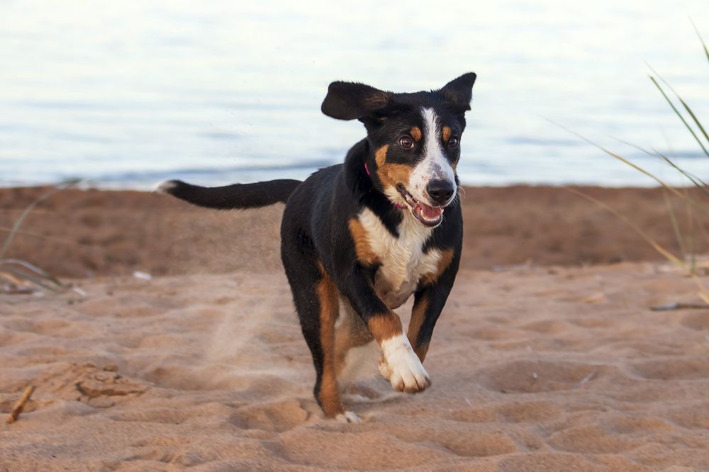 Photograph by Evgeniia Iakimenko