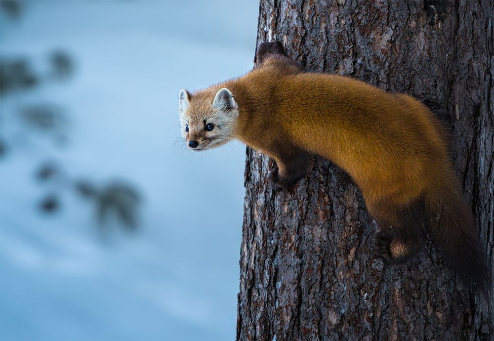 Photograph by YUDONG